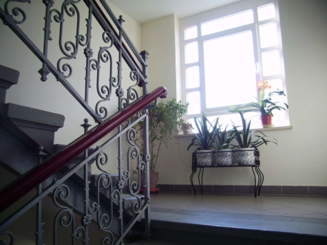 Helle 2-Raum-Wohnung mit Südbalkon und Stellplatz! Vermietet! - Treppenhaus (9266)