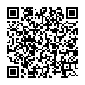 Ab 1.9.26! Zentrumsnahe 3-Raumwohnung mit moderner EBK in Zwickau! - QR-Code (7881)