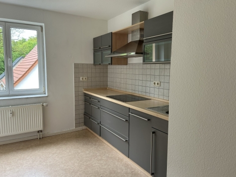 Ab 1.7.! Helle 3-Raumwohnung mit zwei Balkonen und Stellpl. in Zwickau - Einbauküche (6454)