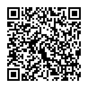Zentrumsnahe 2 Raumwohnung mit Tageslichtbad! - QR-Code (7190)