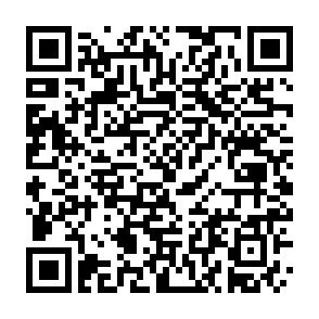 Möblierte 1-Raumwohnung in guter Lage! - QR-Code (9965)