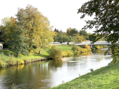 Möblierte 1-Raumwohnung in guter Lage! - Zwickauer Mulde (9959)