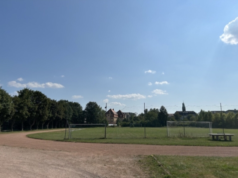 Zentrumsnahe 2-Raum-Whg.! Tageslichtbad, Balkon mit Blick ins Grüne; Vermietet! - Sportplatz (14399)