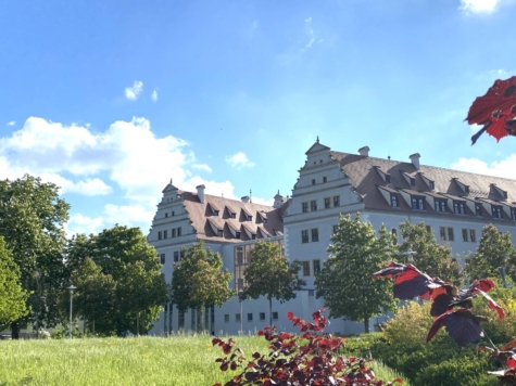 Zentrumsnahe 2-Raum-Whg.! Tageslichtbad, Balkon mit Blick ins Grüne; Vermietet! - Schloss Osterstein (14409)
