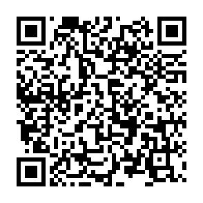 Zentrumsnahe 3-Raumwohnung mit goßer Dachterrasse und Stellplatz! - QR-Code (9697)