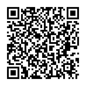 Ab 1.11.! Tolle, zentrumsnahe 4-Raumwhg. mit Dachterrasse! - QR-Code (11338)