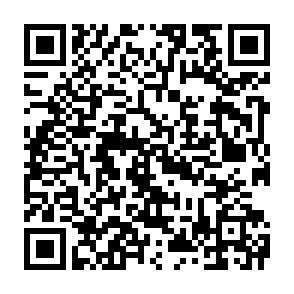 Ab 1.12.! Zentrumsnahe 2-Raumwhg. mit Balkon und Abstellraum! - QR-Code (11636)