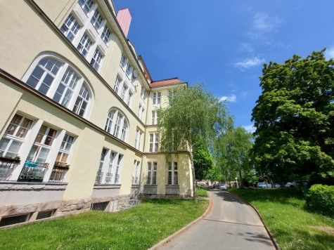 Attraktives Apartement in ehemaliger Textilfabrik, mit Aufzug, zentrumsnah, Denkmalschutz! - Außenanlagen begrünt (718)