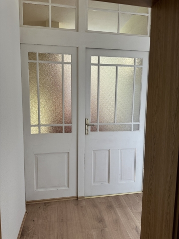 Schöne 3-Raum-Wohnung in Oelsnitz/V., 2. OG. Leerstehend! - Eingangstür innen (738)