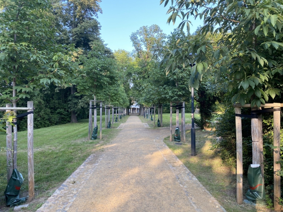 Planitzer Schlosspark