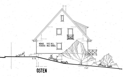 Vielseitig nutzbares EFH mit Einliegerwohnung, großer Garten, überdachter Pool, Doppelcarport - Ansicht Osten (12522)