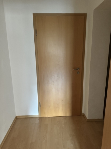 Vermietet ab 01.05.26! Großzügige 1-Raumwohnung mit Einbauküche in Zwickau! Denkmalschutz! - Eingan Wohnung (3192)