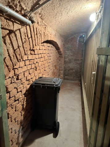 Vermietet ab 01.05.26! Großzügige 1-Raumwohnung mit Einbauküche in Zwickau! Denkmalschutz! - Keller (3198)