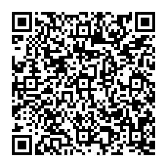 Vermietet ab 01.05.26! Großzügige 1-Raumwohnung mit Einbauküche in Zwickau! Denkmalschutz! - QR-Code (3204)