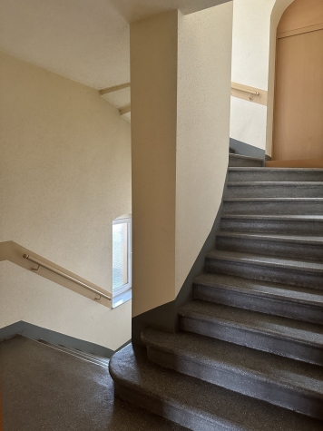 Vermietet ab 01.05.26! Großzügige 1-Raumwohnung mit Einbauküche in Zwickau! Denkmalschutz! - Hausflur (3196)