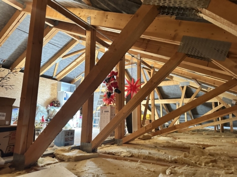 Exklusives EFH im Bungalowstil, mit Pool, Wärmepumpen, Doppelgarage, Carport + stilvollem Grundstück - Dachgeschoss ausbaufähig (13148)