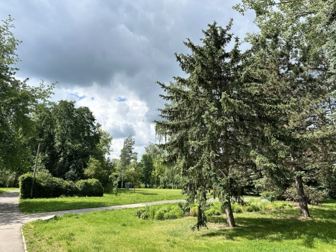 Vermietete 2-Raum-Wohnung mit Einbauküche und Tageslichtbad! - Stadtpark Marienthal (566)