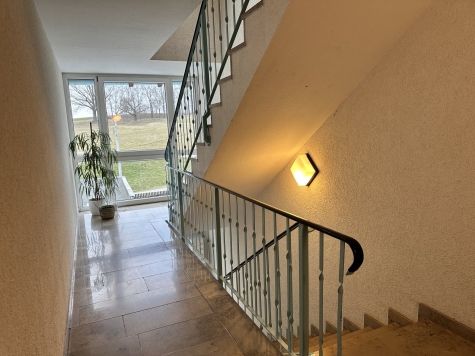 Frisch renoviert! 2-Raumwhg. mit Balkon, TG-Stpl. (duplex, saniert), Neubau 1997! - gepflegtes Treppenhaus (7244)