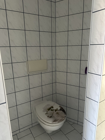 Helle 3-Raumwhg. (opt. 4 Raum) mit Stpl. & Tageslichtbad in Auerbach/V.! - WC abgegrenzt (7765)