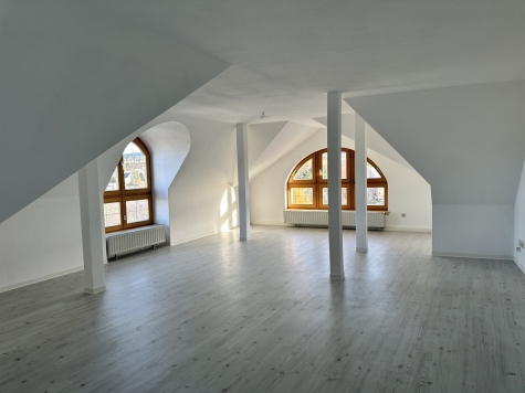 Helle 3-Raumwhg. (opt. 4 Raum) mit Stpl. & Tageslichtbad in Auerbach/V.! - helles Wohnzimmer (7758)