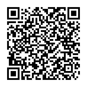 Ab 1.9.26! Helle 2-Raumwohnung in Marienthal nähe HBK! - QR-Code (9428)