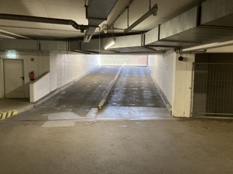 Vermietete 2-R.-DG-Whg., Loggia + TG-Stpl. + Aufzug! Laminat bzw. Fliesen, Nähe Zwickauer Mulde! - Tiefgarage (4154)
