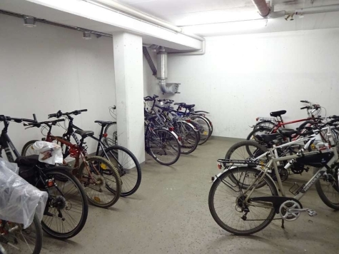 Vermietete 2-R.-DG-Whg., Loggia + TG-Stpl. + Aufzug! Laminat bzw. Fliesen, Nähe Zwickauer Mulde! - Fahrradkeller (4151)