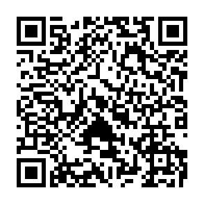 *Vermietete, zentrumsnahe 2-Raumwohnung in Zwickau* - QR-Code (15069)