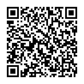 Helle 3-Raumwhg. mit Loggia und EBK in Zwickau-Mosel! - QR-Code (6331)