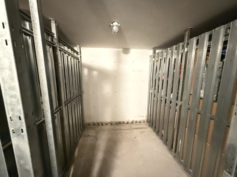 4-Raumwohnung mit Terrasse, Gäste-WC u. TG-Stpl. in ruhiger Lage! Leerstand! - Kellerabteil (7645)